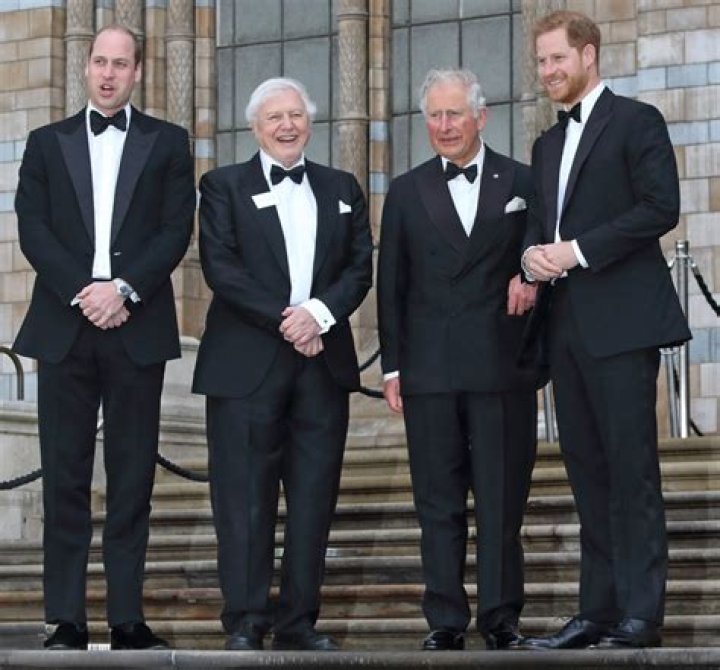 David Attenborough Height: A Fascinating Insight into the Iconic Broadcaster