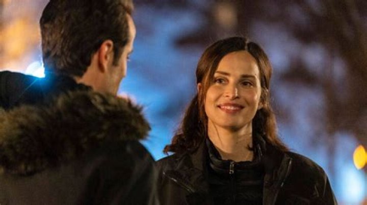 Was Jamie Fired? Assessing Jamie's Departure from FBI International