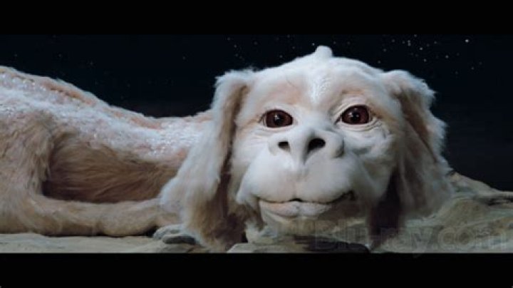 Catch the Endless Adventure with Your Canine Companion: The Unending Dog Story