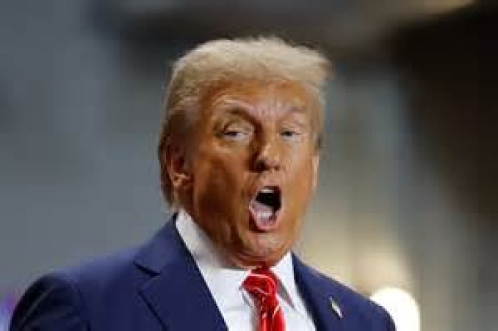 Uncovering Donald Trump's IQ: Insights and Analysis