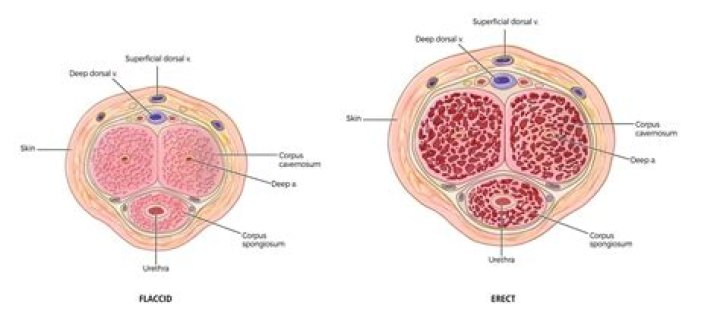 Understanding the Importance of Education: A Comprehensive Guide