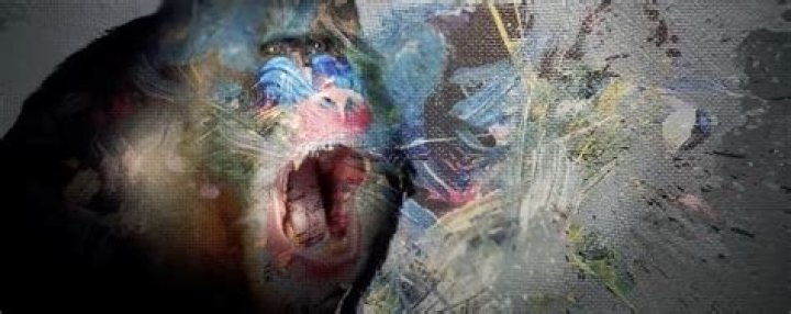 El Patron Video: The Rise of a Viral Sensation