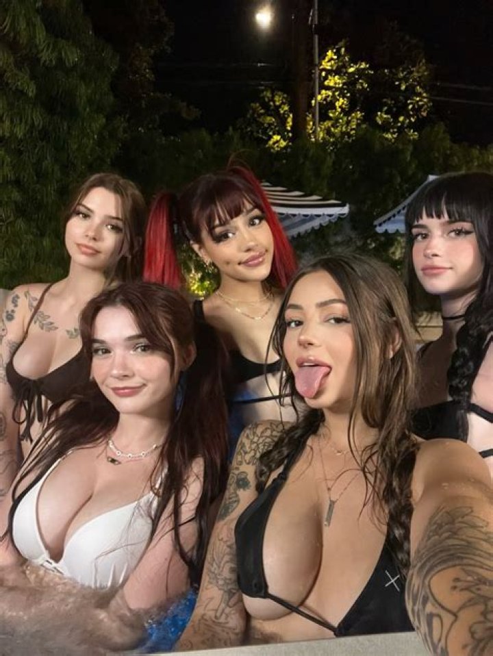 Exploring the World of Sotwe Türk Fans: A Comprehensive Guide