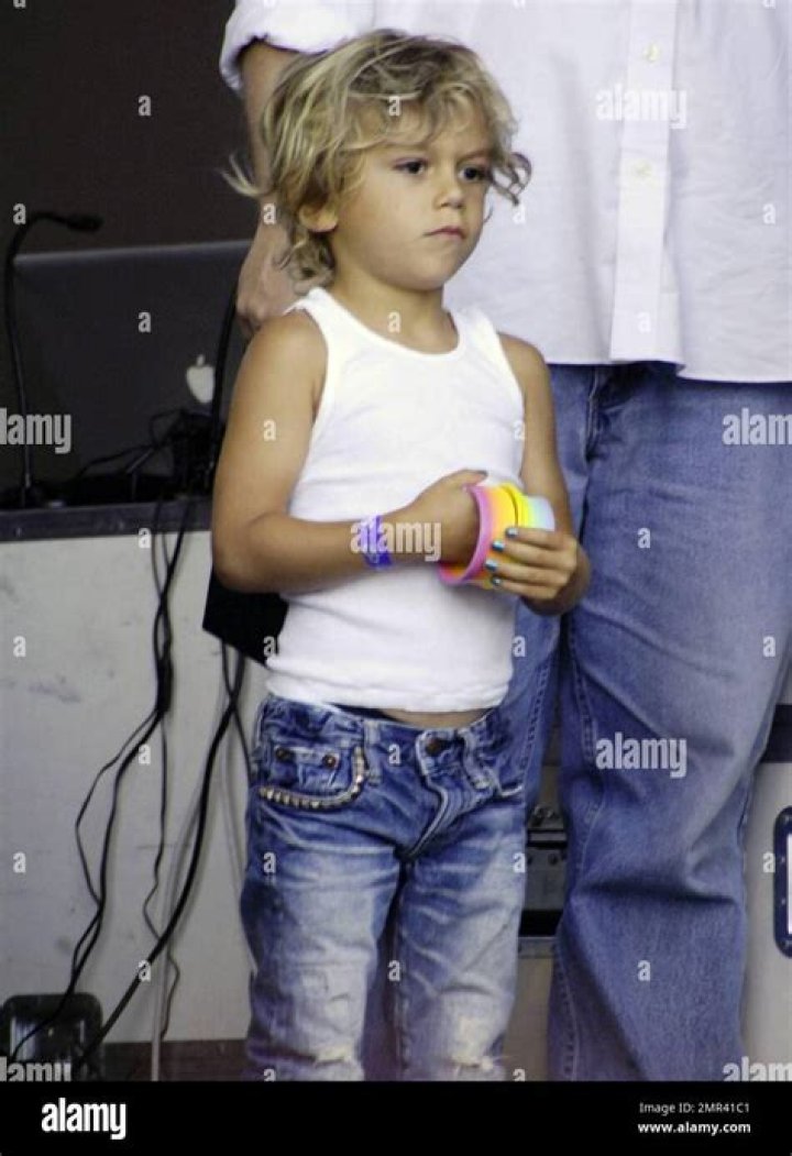 Gavin Rossdale Wiki: A Detailed Look at the Life and Career of the Bush Frontman