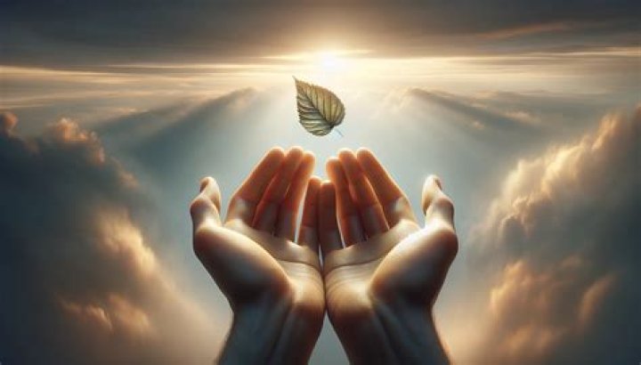 The Essence of Grace: Understanding Its Importance in Life