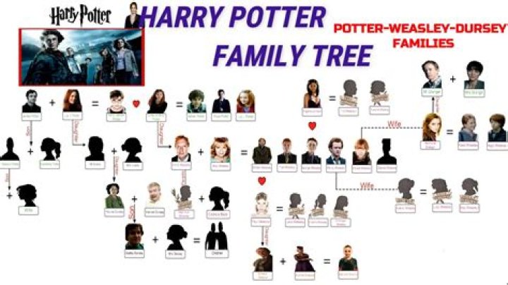 All You Need to Know About Harry Potter's Cousin