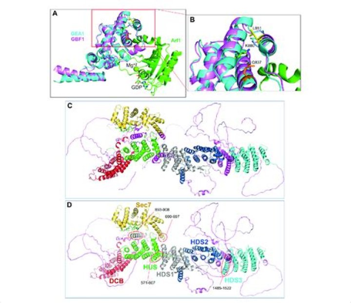 Explore the World of HDS2.in: Your Gateway to Innovation and Information