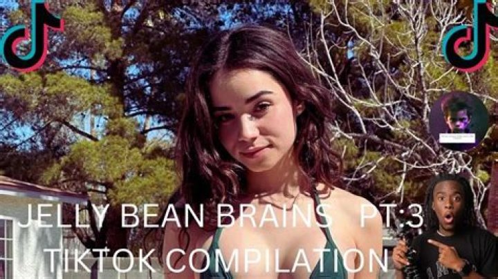 Jelly Bean Brains: A Deep Dive into the World of Fans and Fandom