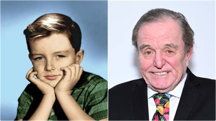 Jerry Mathers Height: A Detailed Insight into the Life of a TV Icon