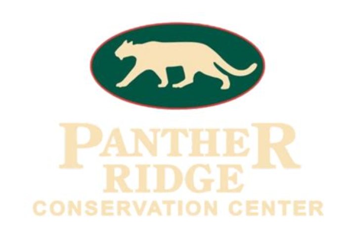 Exploring Panther Ridge Conservation Center: A Sanctuary for Big Cats