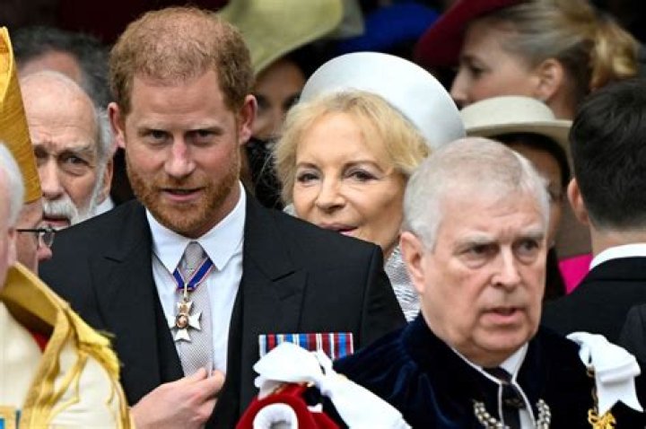 The Royal Enigma: Prince Harry's Unfiltered Truth Unveiled