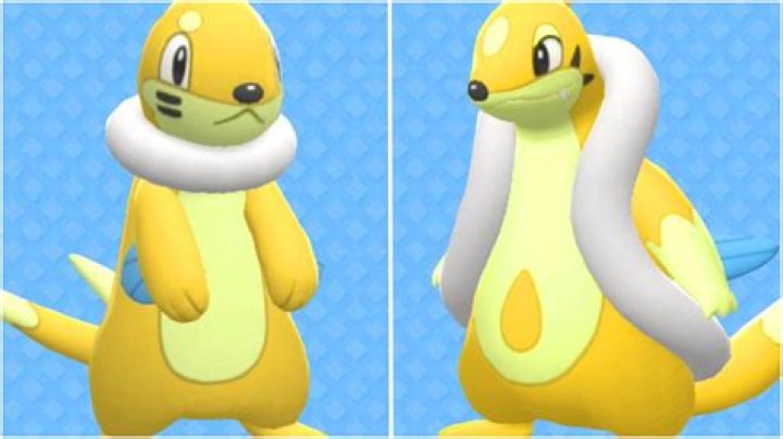 Shiny Buizel: The Ultimate Guide to This Rare Pokémon