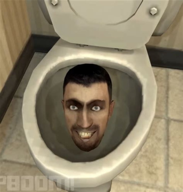 Everything You Need to Know About Skidibi Toilet