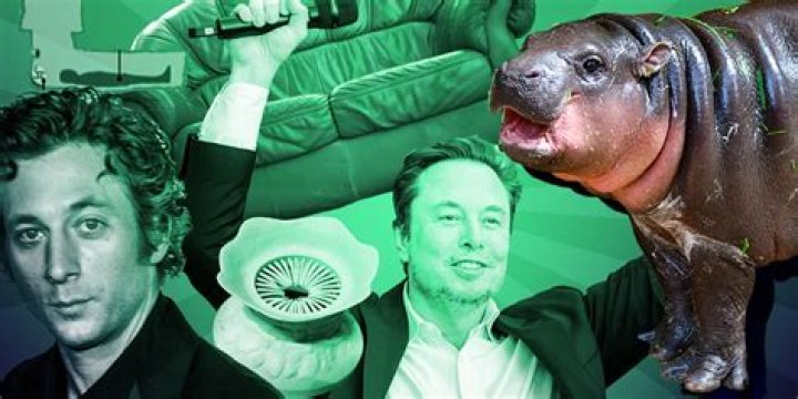 Viral: Understanding the Phenomenon and Its Impact on Society